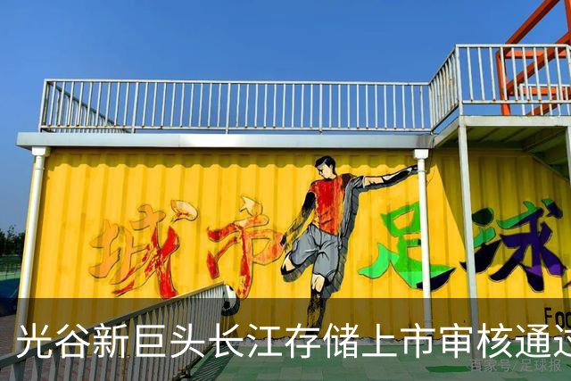 光谷新巨头长江存储上市审核通过，融资规模再创新高